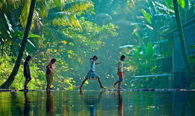 Kerala Travel Guide: Everything You Need to Know Before You Go
