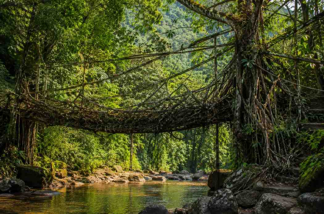 Shillong, Cherrapunji & Mawlynnong 5 Days Package domestic package