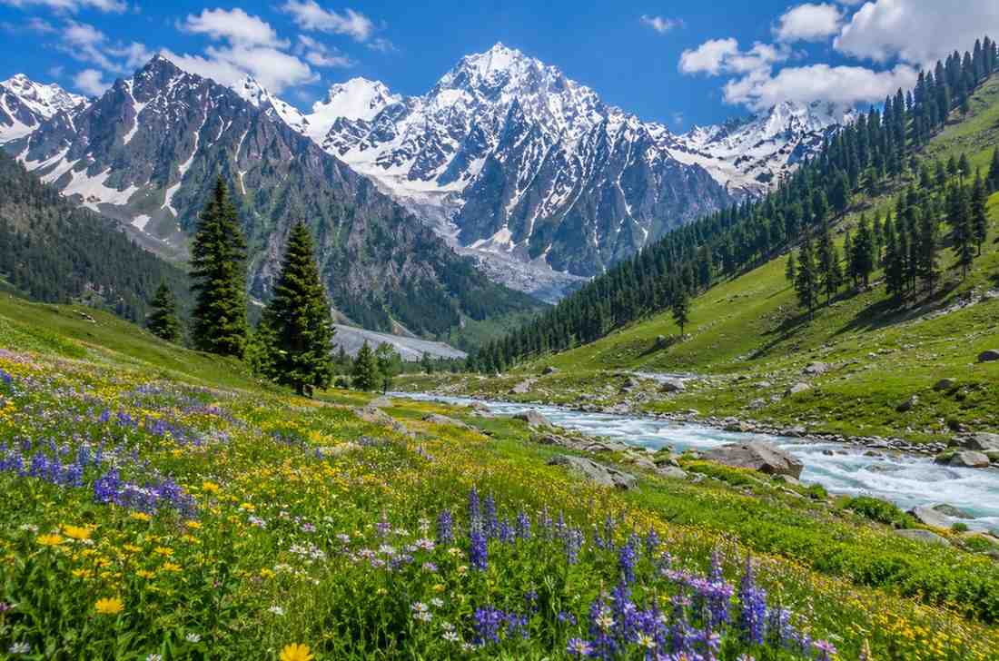 Srinagar & Sonmarg 5 Days Package domestic package